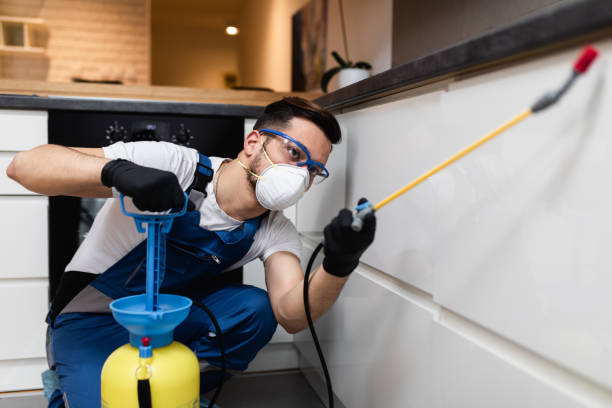 Best Wasp Removal Services  in Rutherford, NJ