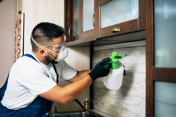 Best Commercial Pest Control Services  in Rutherford, NJ