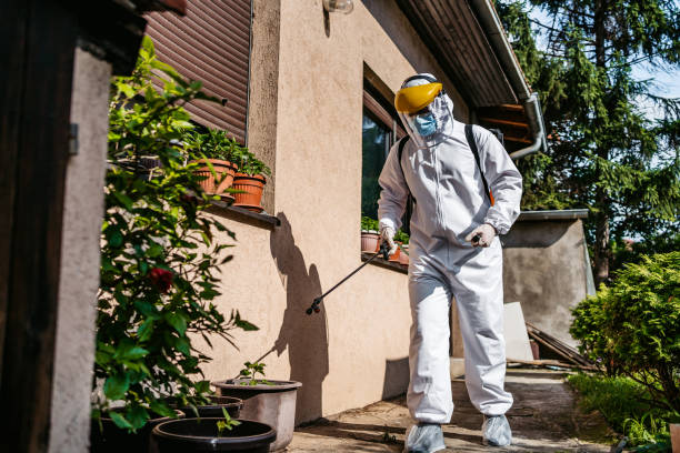Insect Control in Rutherford, NJ