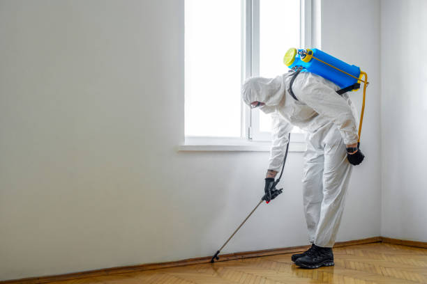 Best Insect Control  in Rutherford, NJ