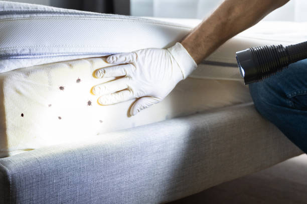 Best Rat Extermination Near Me  in Rutherford, NJ