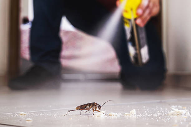 Professional Pest Control in Rutherford, NJ