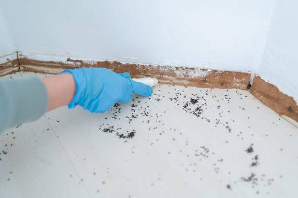Best Pest Inspection Near Me  in Rutherford, NJ