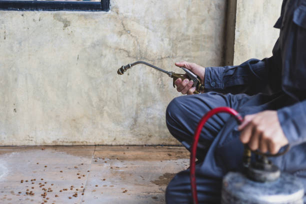 Best Pest Prevention Services  in Rutherford, NJ