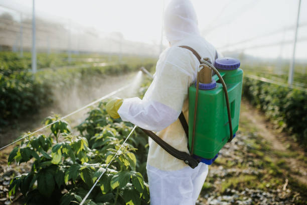 Best Pest Inspection Near Me  in Rutherford, NJ